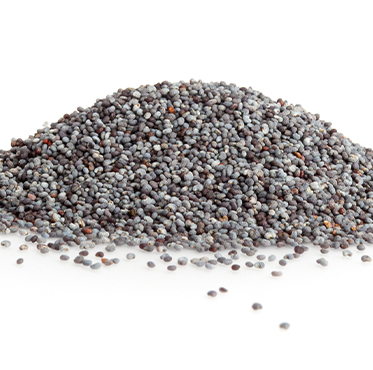 RO Spice